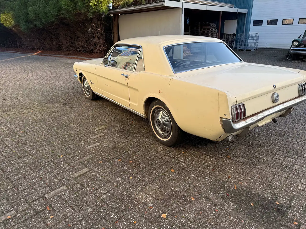 Ford Mustang 1966 Coupé 289 V8 automaat "K-code", foto 5