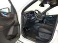 Ford Kuga 1.5 EcoBoost ST-Line X FWD 150 Blanc - thumbnail 15