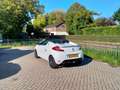 Renault Wind 1.2 TCE Dynamique airco Cruise Cabrio ALLINPRIJS Blanc - thumbnail 6