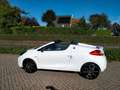 Renault Wind 1.2 TCE Dynamique airco Cruise Cabrio ALLINPRIJS Blanc - thumbnail 4
