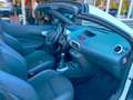 Renault Wind 1.2 TCE Dynamique airco Cruise Cabrio ALLINPRIJS Blanc - thumbnail 20