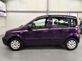 Fiat Panda 1.2 Edizione Purple Color KEURIGE AUTO !! MANUAL Mauve - thumbnail 4