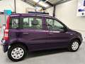 Fiat Panda 1.2 Edizione Purple Color KEURIGE AUTO !! MANUAL Mauve - thumbnail 9