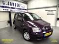 Fiat Panda 1.2 Edizione Purple Color KEURIGE AUTO !! MANUAL Mauve - thumbnail 1
