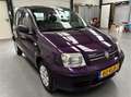Fiat Panda 1.2 Edizione Purple Color KEURIGE AUTO !! MANUAL Mauve - thumbnail 10