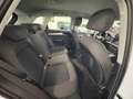 Audi Q5 40 TDI 204 CV quattro S tronic Business Advanced Weiß - thumbnail 16