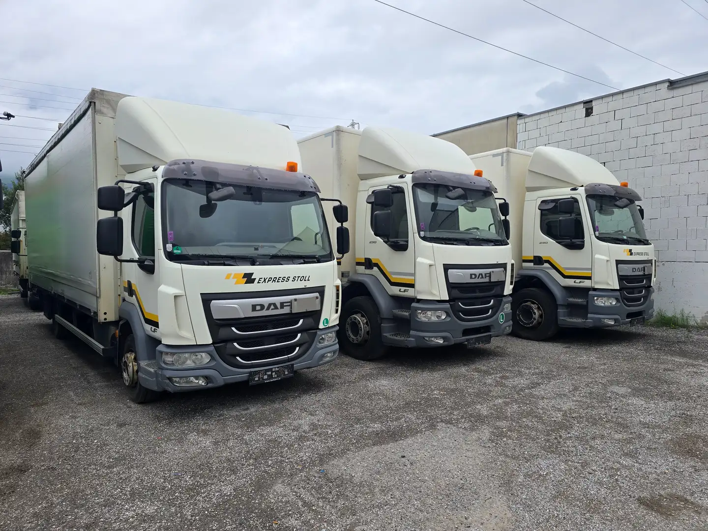 DAF 2 x LF 290 FA 2x LF 230 FA Weiß - 1