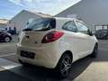 Ford Ka/Ka+ Ka 1.3 TDCi Titanium Weiß - thumbnail 5