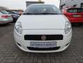 Fiat Punto Evo Punto 1.2 8V Klimaanlage/Servo/E-Fenster/Zentral/R Weiß - thumbnail 2