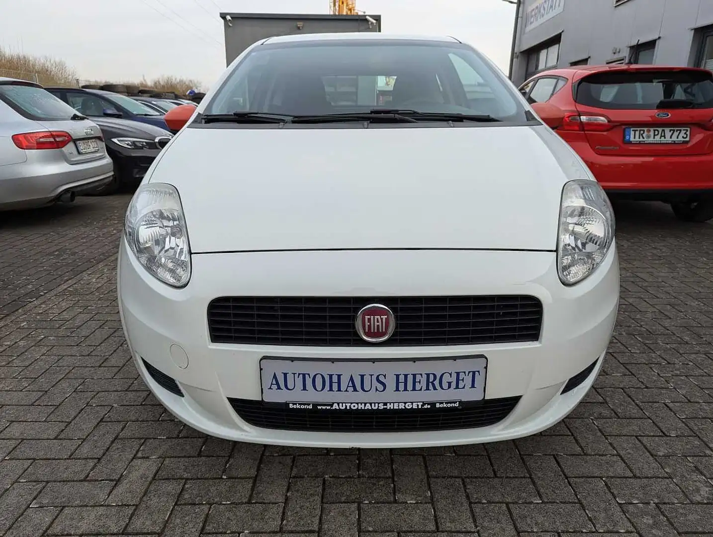 Fiat Punto Evo Punto 1.2 8V Klimaanlage/Servo/E-Fenster/Zentral/R Weiß - 2