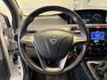 Lancia Ypsilon 1.3 Multijet 95cv Start&Stop Silver Bianco - thumbnail 12