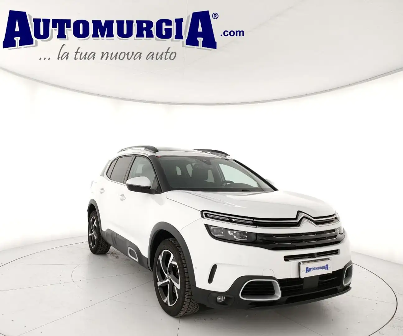 Citroen C5 Aircross BlueHDi 130 S&S EAT8 Shine Bianco - 1