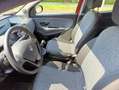 Lancia Ypsilon 1.0 Hybrid Firefly “ Silver Plus “ - thumbnail 7