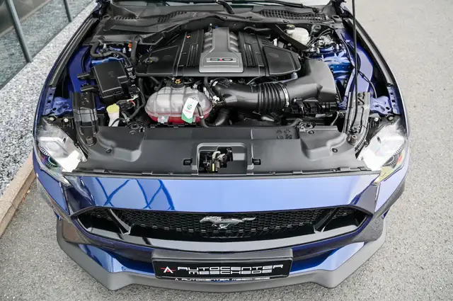Ford Mustang view 7