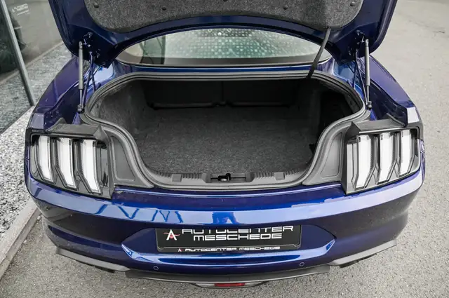 Ford Mustang view 8