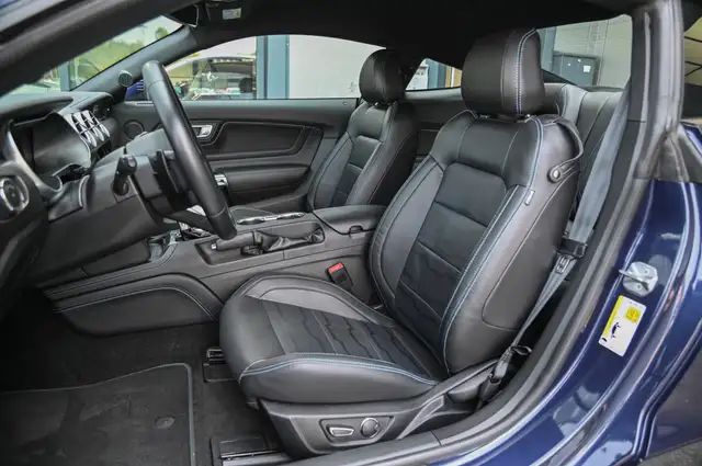 Ford Mustang view 11
