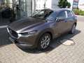 Mazda CX-30 e-SKYACTIVE G 140  EXCLUSIVE PREIS-HAMMER AKTION Gris - thumbnail 15