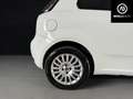 Fiat Punto Punto 3p 1.3 Mjt Bianco - thumbnail 11