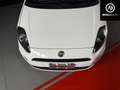 Fiat Punto Punto 3p 1.3 Mjt Bianco - thumbnail 8