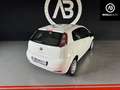 Fiat Punto Punto 3p 1.3 Mjt Bianco - thumbnail 12