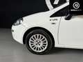 Fiat Punto Punto 3p 1.3 Mjt Bianco - thumbnail 6