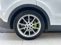 Porsche Cayenne V6 3.0L E-HYBRIDE 462 18KHW BOITE PDK Blanco - thumbnail 11
