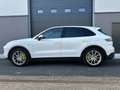Porsche Cayenne V6 3.0L E-HYBRIDE 462 18KHW BOITE PDK Blanco - thumbnail 9