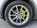 Porsche Cayenne V6 3.0L E-HYBRIDE 462 18KHW BOITE PDK Blanco - thumbnail 7