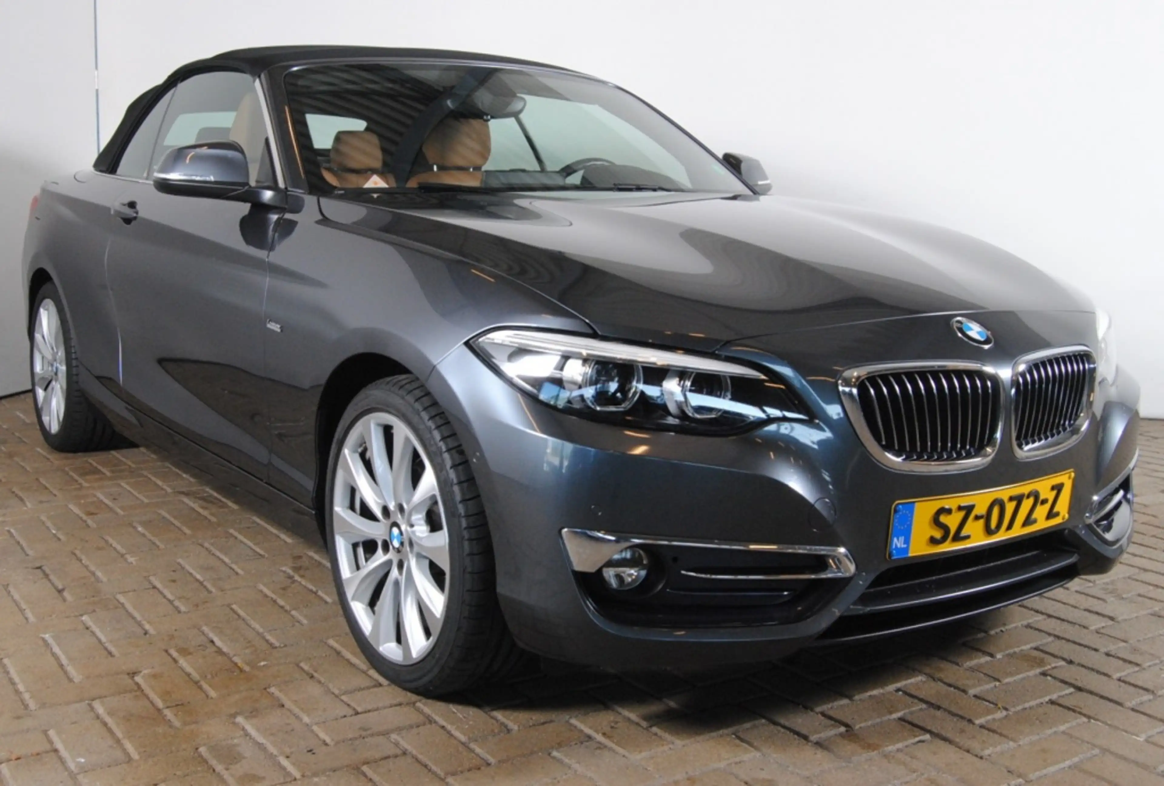 BMW 220 2-serie Cabrio 220i High Executive | NL auto | Cam — photo 13