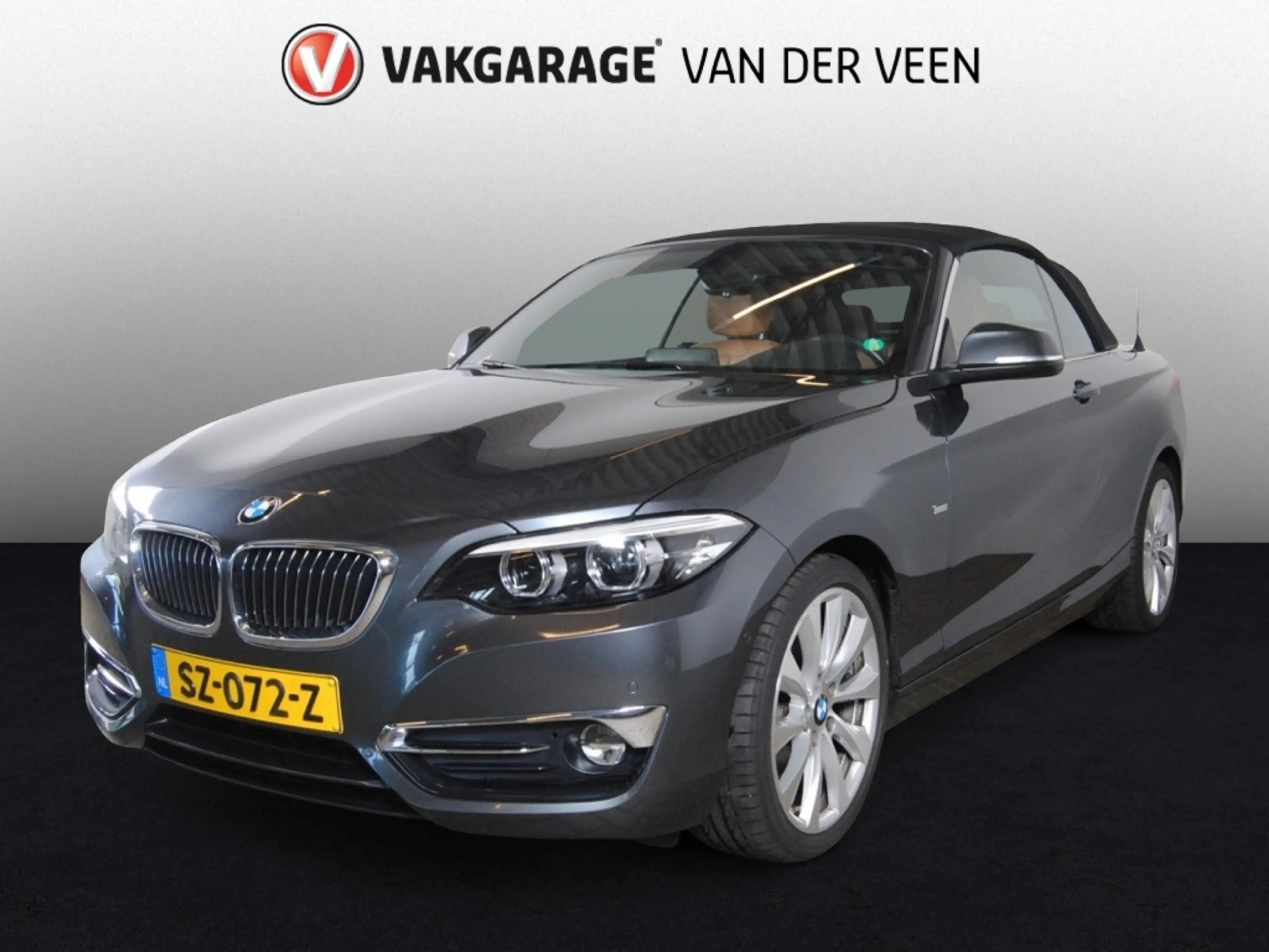 BMW 220 2-serie Cabrio 220i High Executive | NL auto | Cam