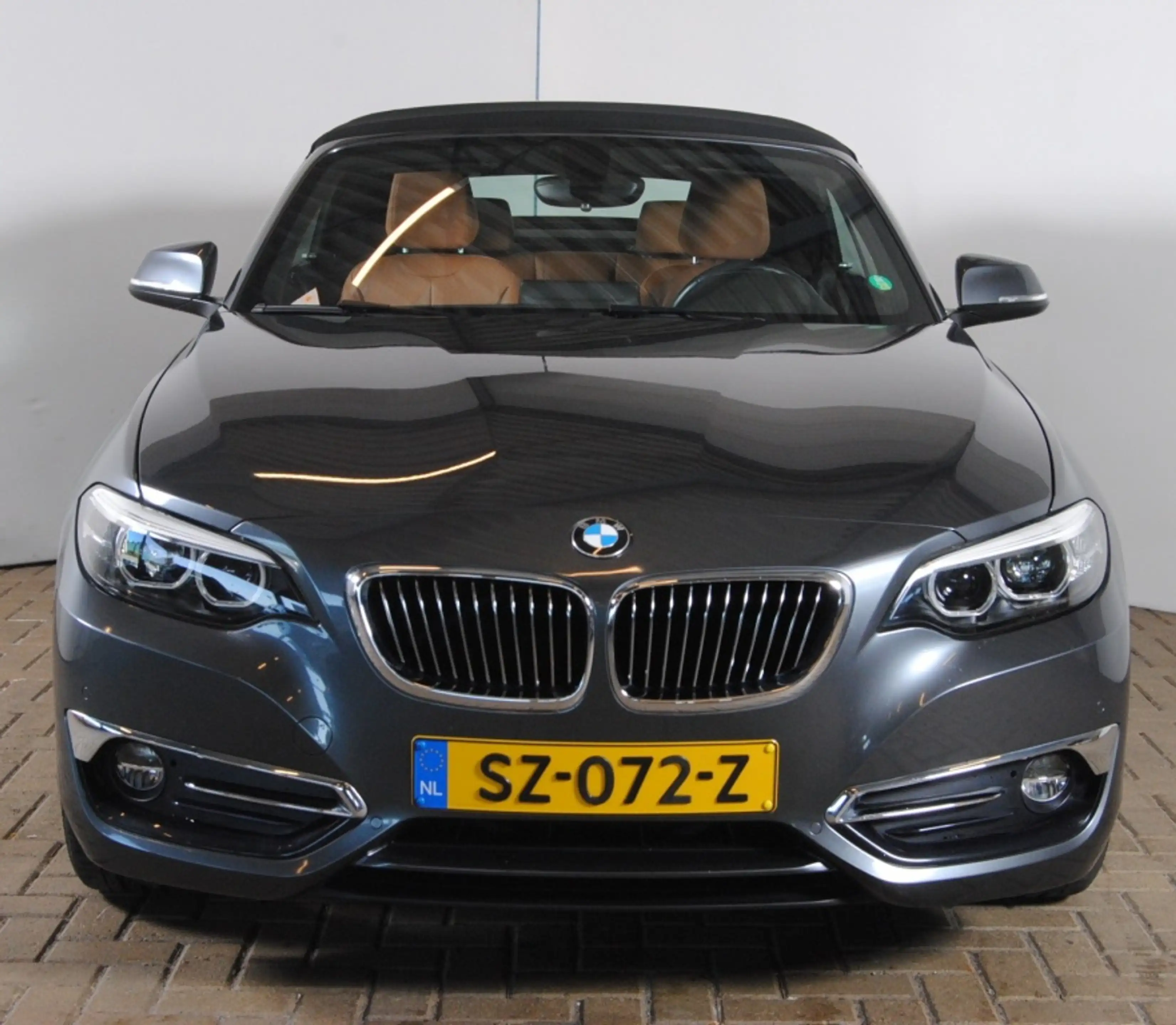 BMW 220 2-serie Cabrio 220i High Executive | NL auto | Cam — photo 12