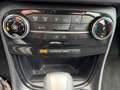Ford Puma 1,0 EcoBoost Hybrid Titanium X Aut. Blau - thumbnail 16