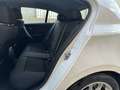 BMW 116 d 2.000cc - NEOPATENTATI - CATENA NUOVA - BIXENON Bianco - thumbnail 13