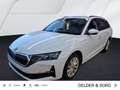 Skoda Octavia Combi Selection 2.0 TDI 360°*AHK*HuD* Weiß - thumbnail 1