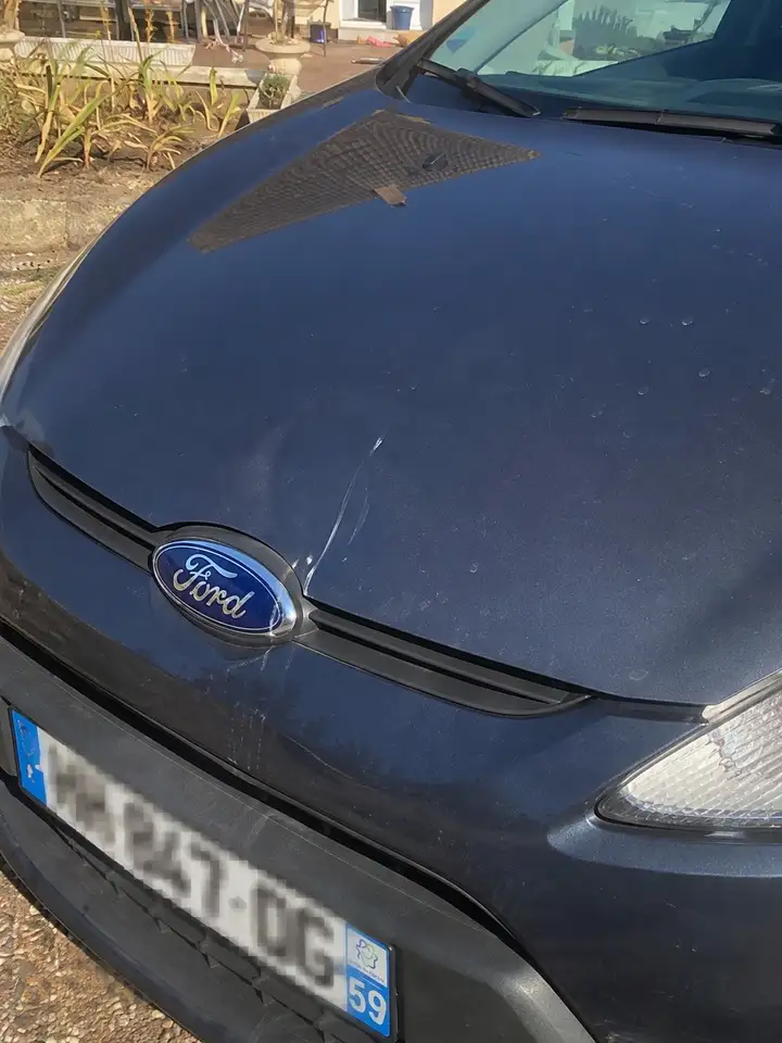 Ford Fiesta 5 portes — photo 3
