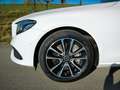 Mercedes-Benz E 400 d T-Modell 4Matic Ahk Distr. Ambiente Panor Wit - thumbnail 15