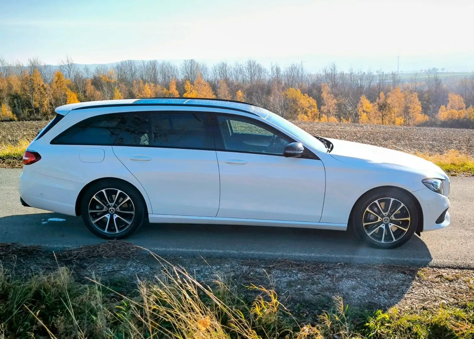 Mercedes-Benz E 400 d T-Modell 4Matic Ahk Distr. Ambiente Panor Wit - 2