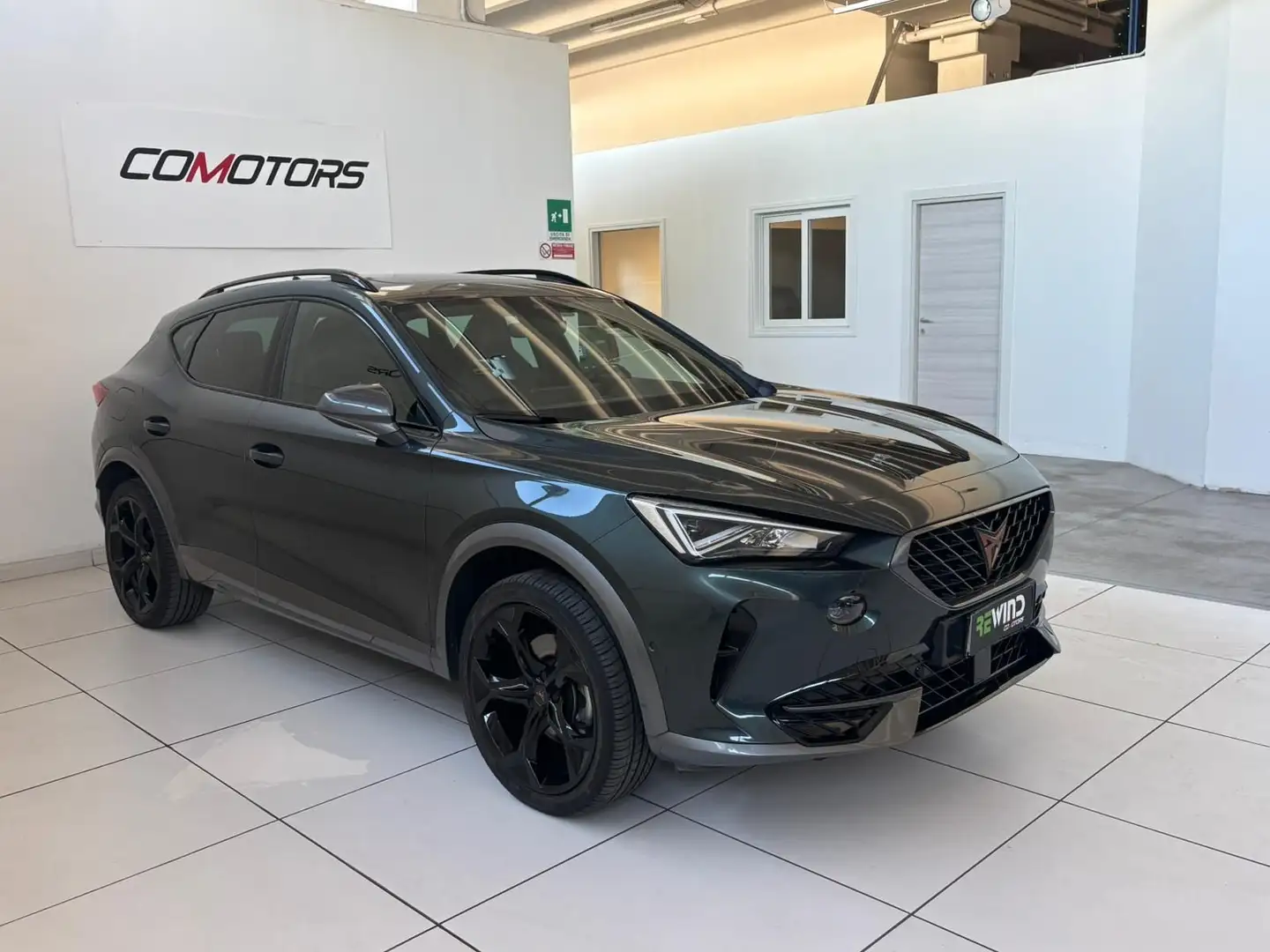 CUPRA Formentor Formentor 2.0 TSI 4Drive DSG Gris - 2