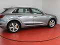 Audi e-tron 55 advanced 486,-ohne Anzahlung AHK Pano Matrix Grau - thumbnail 25