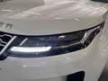 Land Rover Range Rover Evoque 2.0d i4 S fwd 150cv Bianco - thumbnail 6