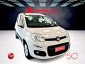Fiat Panda 0.9 TwinAir Turbo CAMBIO AUTOMATICO Lounge Beige - thumbnail 4