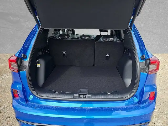 Ford Kuga view 7