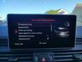 Audi SQ5 TDI quattro*Pano*Tour*Optikpaket*Einparkhilf Gris - thumbnail 20