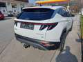 Hyundai TUCSON Tucson NX4 Trend Line 1,6 CRDi 4WD 48V DCT t1dt1-P Weiß - thumbnail 4