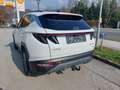 Hyundai TUCSON Tucson NX4 Trend Line 1,6 CRDi 4WD 48V DCT t1dt1-P Weiß - thumbnail 3
