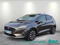 Ford Fiesta 1.0 EcoBoost S&S TITANIUM Winter-Paket LED Grau - thumbnail 1
