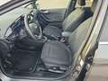 Ford Fiesta 1.0 EcoBoost S&S TITANIUM Winter-Paket LED Grau - thumbnail 12