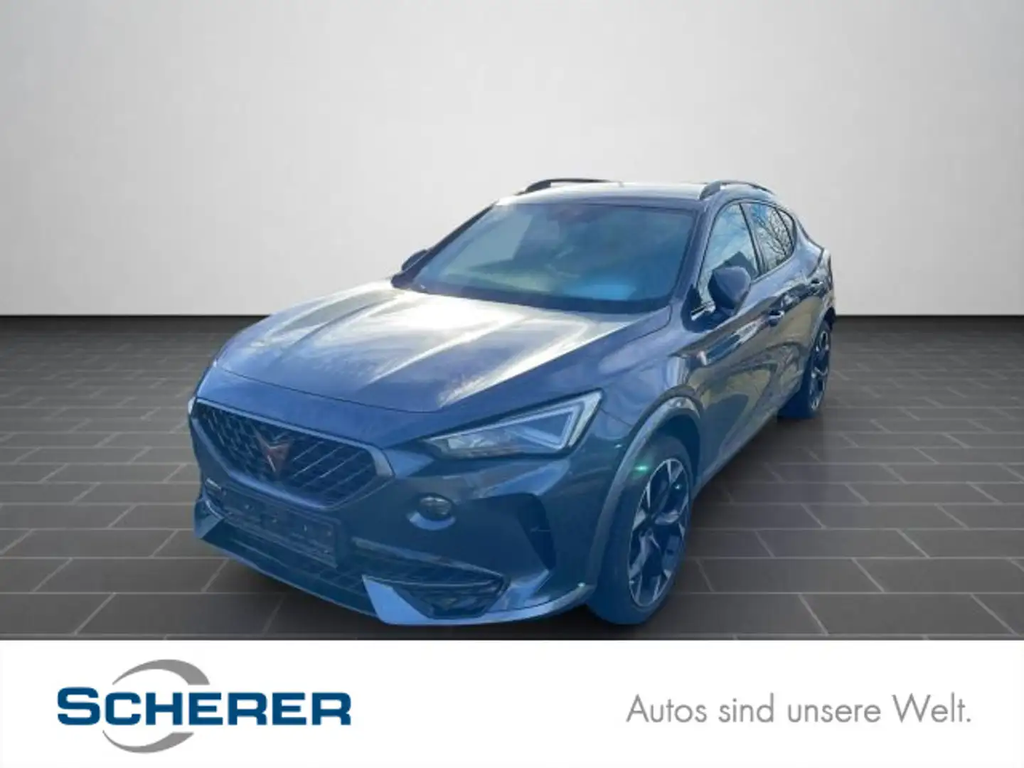 CUPRA Formentor 1,5 TSI DSG RFK/LED/Virtual Cockpit/Si Grau - 1