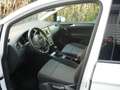 Volkswagen Golf Sportsvan 1.2 TSI AHK-Einparkhilfe-Alu Bílá - thumbnail 4