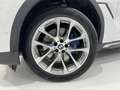 BMW X6 xDrive30d Blanco - thumbnail 13